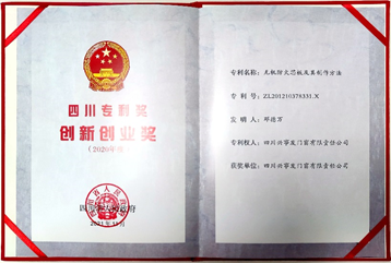 创新专利 (2)